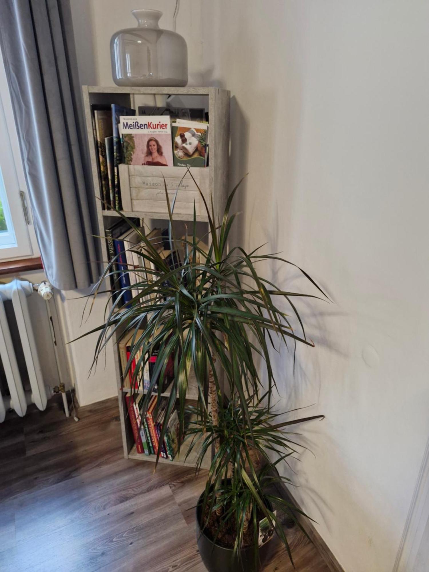 Ferienwohnung Ines Wolf In Der Meissner Innenstadt Meissen Bagian luar foto